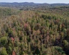 TBD Preston Highway, Tunnelton, West Virginia 26444, ,Lots/land,For Sale,Preston,10157721
