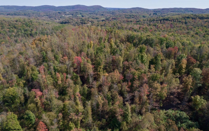 TBD Preston Highway, Tunnelton, West Virginia 26444, ,Lots/land,For Sale,Preston,10157721