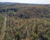 TBD Preston Highway, Tunnelton, West Virginia 26444, ,Lots/land,For Sale,Preston,10157721