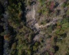 TBD Preston Highway, Tunnelton, West Virginia 26444, ,Lots/land,For Sale,Preston,10157721
