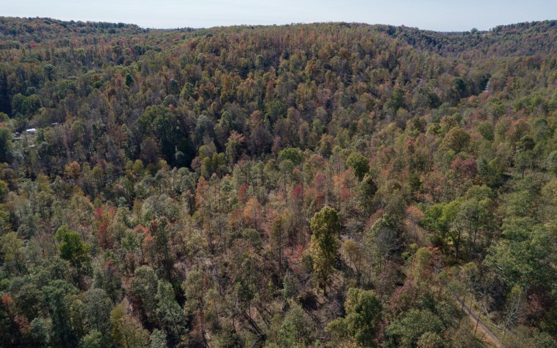TBD Preston Highway, Tunnelton, West Virginia 26444, ,Lots/land,For Sale,Preston,10157721