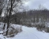 1440 Moyers Road, Bruceton Mills, West Virginia 26525, ,Lots/land,For Sale,Moyers,10157737