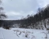 1440 Moyers Road, Bruceton Mills, West Virginia 26525, ,Lots/land,For Sale,Moyers,10157737