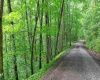 4304 Sinclair Ridge, Rowlesburg, West Virginia 26425, ,Lots/land,For Sale,Sinclair,10155492