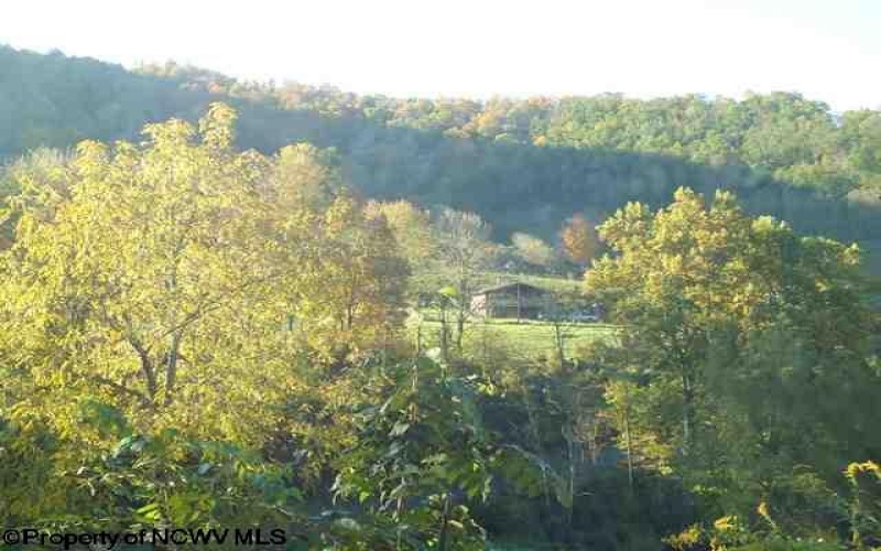 205 Frontierland Lane, Red Creek, West Virginia 26260, 3 Bedrooms Bedrooms, 9 Rooms Rooms,2 BathroomsBathrooms,Single Family Detached,For Sale,Frontierland,10157811