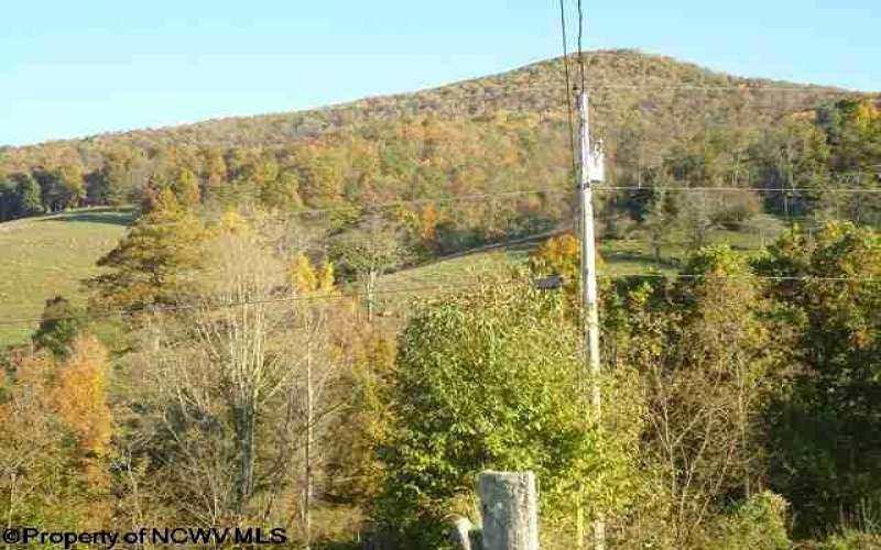 205 Frontierland Lane, Red Creek, West Virginia 26260, 3 Bedrooms Bedrooms, 9 Rooms Rooms,2 BathroomsBathrooms,Single Family Detached,For Sale,Frontierland,10157811