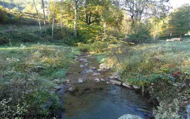 205 Frontierland Lane, Red Creek, West Virginia 26260, 3 Bedrooms Bedrooms, 9 Rooms Rooms,2 BathroomsBathrooms,Single Family Detached,For Sale,Frontierland,10157811