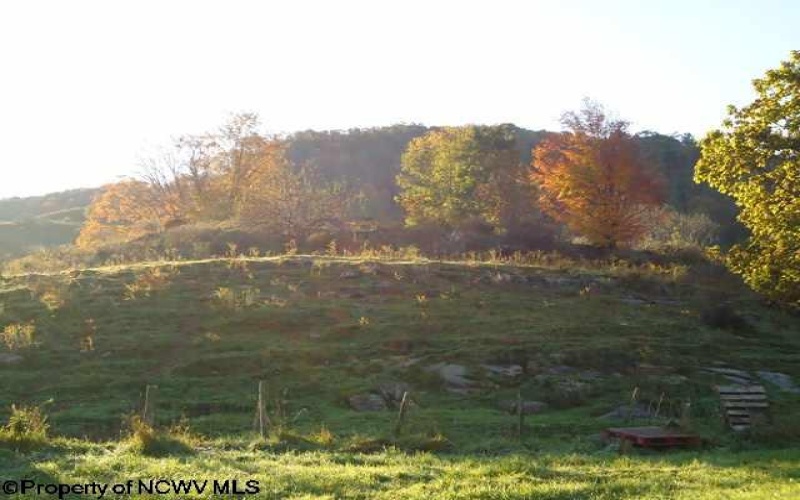 205 Frontierland Lane, Red Creek, West Virginia 26260, 3 Bedrooms Bedrooms, 9 Rooms Rooms,2 BathroomsBathrooms,Single Family Detached,For Sale,Frontierland,10157811