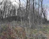 TBD Corpening Drive, Bridgeport, West Virginia 26330, ,Lots/land,For Sale,Corpening,10157832