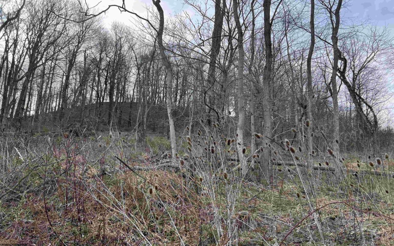 TBD Corpening Drive, Bridgeport, West Virginia 26330, ,Lots/land,For Sale,Corpening,10157832