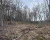 TBD Corpening Drive, Bridgeport, West Virginia 26330, ,Lots/land,For Sale,Corpening,10157832