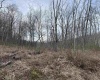 TBD Corpening Drive, Bridgeport, West Virginia 26330, ,Lots/land,For Sale,Corpening,10157832