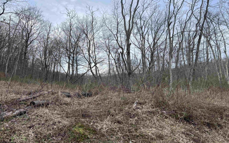 TBD Corpening Drive, Bridgeport, West Virginia 26330, ,Lots/land,For Sale,Corpening,10157832