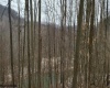 1440 B Moyers Road, Bruceton Mills, West Virginia 26525, ,Lots/land,For Sale,Moyers,10157876