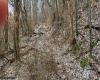 1440 B Moyers Road, Bruceton Mills, West Virginia 26525, ,Lots/land,For Sale,Moyers,10157876