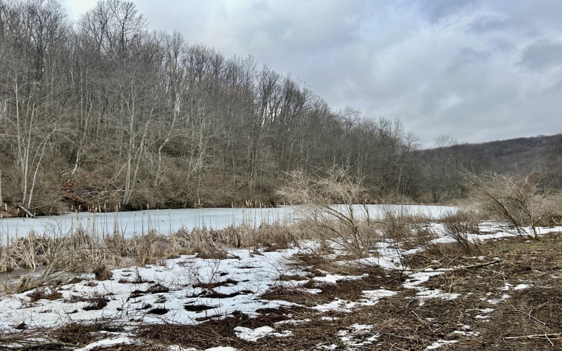 1440 B Moyers Road, Bruceton Mills, West Virginia 26525, ,Lots/land,For Sale,Moyers,10157876