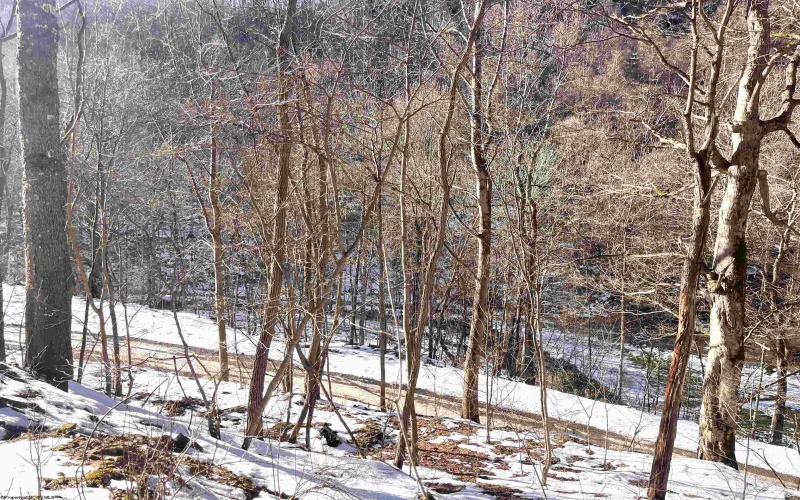 Tract 1 Fill Hollow Road, Tunnelton, West Virginia 26444, ,Lots/land,For Sale,Fill Hollow,10157878