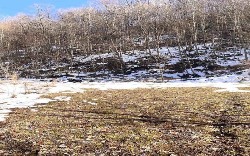 Tract 1 Fill Hollow Road, Tunnelton, West Virginia 26444, ,Lots/land,For Sale,Fill Hollow,10157878