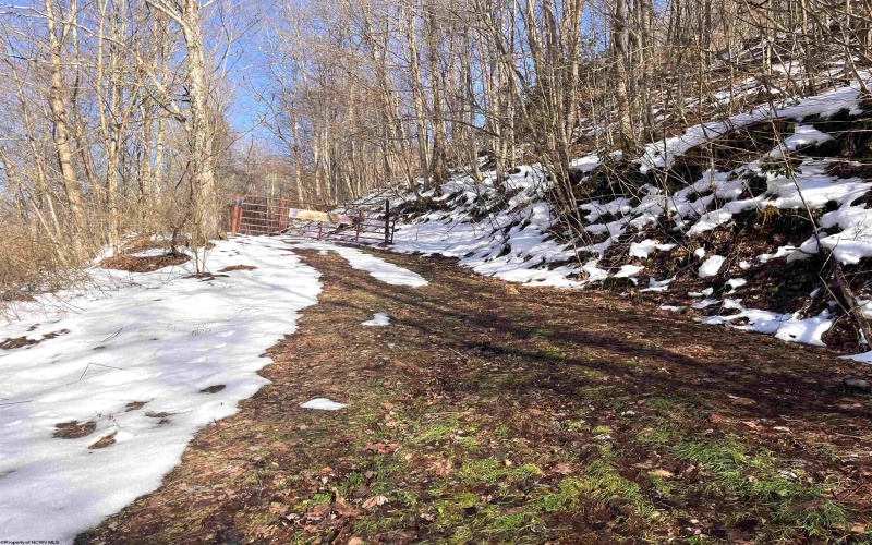 Tract 1 Fill Hollow Road, Tunnelton, West Virginia 26444, ,Lots/land,For Sale,Fill Hollow,10157878