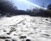 Tract 1 Fill Hollow Road, Tunnelton, West Virginia 26444, ,Lots/land,For Sale,Fill Hollow,10157878