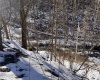Tract 1 Fill Hollow Road, Tunnelton, West Virginia 26444, ,Lots/land,For Sale,Fill Hollow,10157878