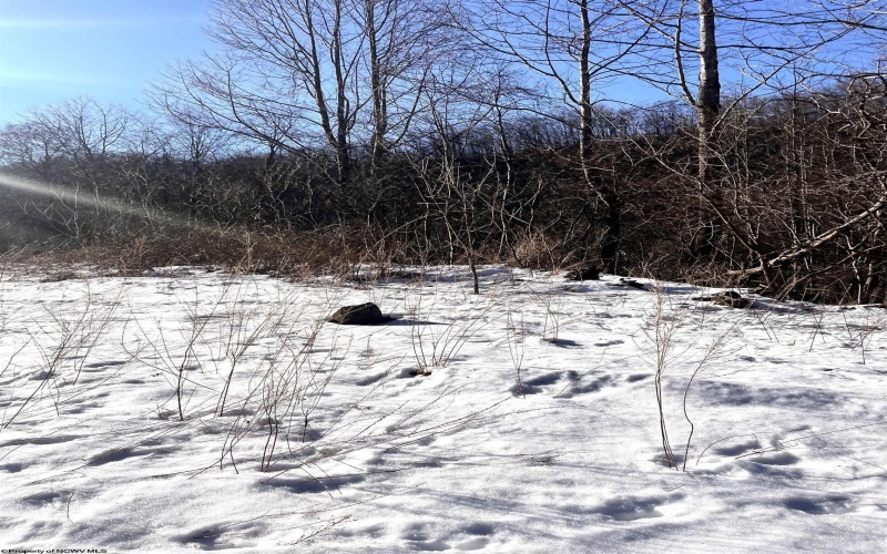 Tract 1 Fill Hollow Road, Tunnelton, West Virginia 26444, ,Lots/land,For Sale,Fill Hollow,10157878