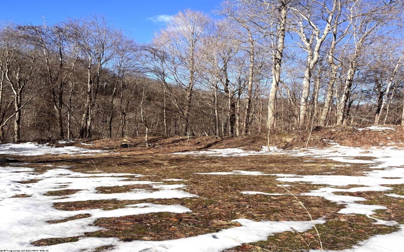Tract 1 Fill Hollow Road, Tunnelton, West Virginia 26444, ,Lots/land,For Sale,Fill Hollow,10157878