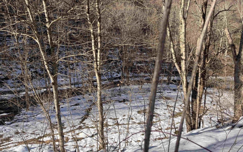 Tract 1 Fill Hollow Road, Tunnelton, West Virginia 26444, ,Lots/land,For Sale,Fill Hollow,10157878