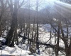 Tract 3 Fill Hollow Road, Tunnelton, West Virginia 26444, ,Lots/land,For Sale,Fill Hollow,10157881