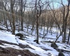 Tract 3 Fill Hollow Road, Tunnelton, West Virginia 26444, ,Lots/land,For Sale,Fill Hollow,10157881