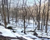 Tract 3 Fill Hollow Road, Tunnelton, West Virginia 26444, ,Lots/land,For Sale,Fill Hollow,10157881