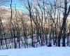 Tract 3 Fill Hollow Road, Tunnelton, West Virginia 26444, ,Lots/land,For Sale,Fill Hollow,10157881