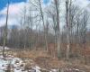 TBD BERGER Road, Bruceton Mills, West Virginia 26525, ,Lots/land,For Sale,BERGER,10157892
