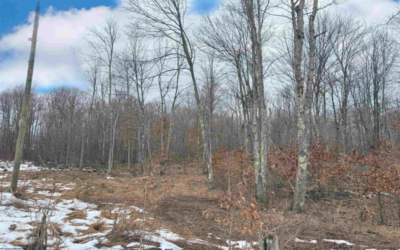 TBD BERGER Road, Bruceton Mills, West Virginia 26525, ,Lots/land,For Sale,BERGER,10157892