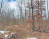 TBD BERGER Road, Bruceton Mills, West Virginia 26525, ,Lots/land,For Sale,BERGER,10157892
