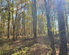 TBD BERGER Road, Bruceton Mills, West Virginia 26525, ,Lots/land,For Sale,BERGER,10157892