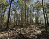 TBD BERGER Road, Bruceton Mills, West Virginia 26525, ,Lots/land,For Sale,BERGER,10157892