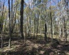 TBD BERGER Road, Bruceton Mills, West Virginia 26525, ,Lots/land,For Sale,BERGER,10157892