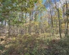 TBD BERGER Road, Bruceton Mills, West Virginia 26525, ,Lots/land,For Sale,BERGER,10157892