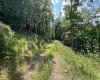 TBD Walker Fork Road, Copen, West Virginia 26615, ,Lots/land,For Sale,Walker Fork,10157912