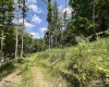 TBD Walker Fork Road, Copen, West Virginia 26615, ,Lots/land,For Sale,Walker Fork,10157912
