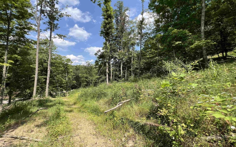 TBD Walker Fork Road, Copen, West Virginia 26615, ,Lots/land,For Sale,Walker Fork,10157912