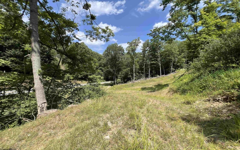 TBD Walker Fork Road, Copen, West Virginia 26615, ,Lots/land,For Sale,Walker Fork,10157912