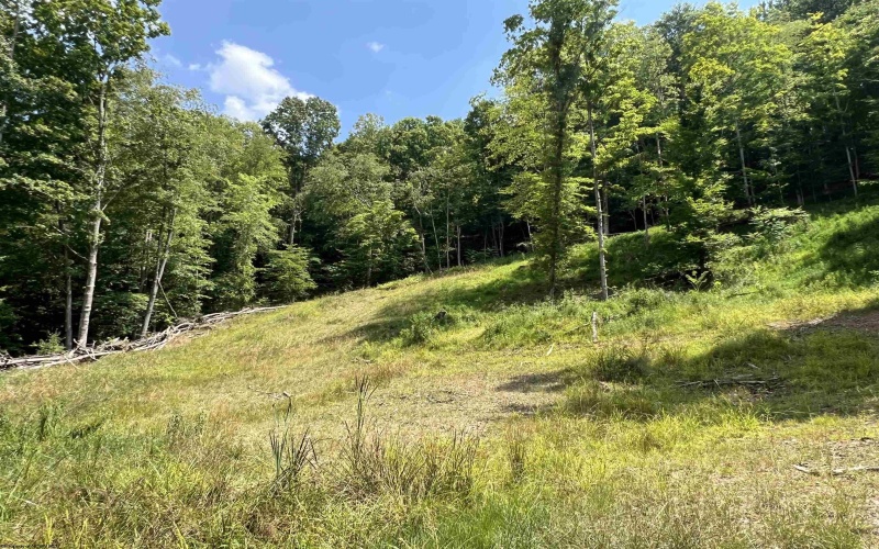 TBD Walker Fork Road, Copen, West Virginia 26615, ,Lots/land,For Sale,Walker Fork,10157912