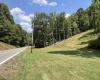 TBD Walker Fork Road, Copen, West Virginia 26615, ,Lots/land,For Sale,Walker Fork,10157912