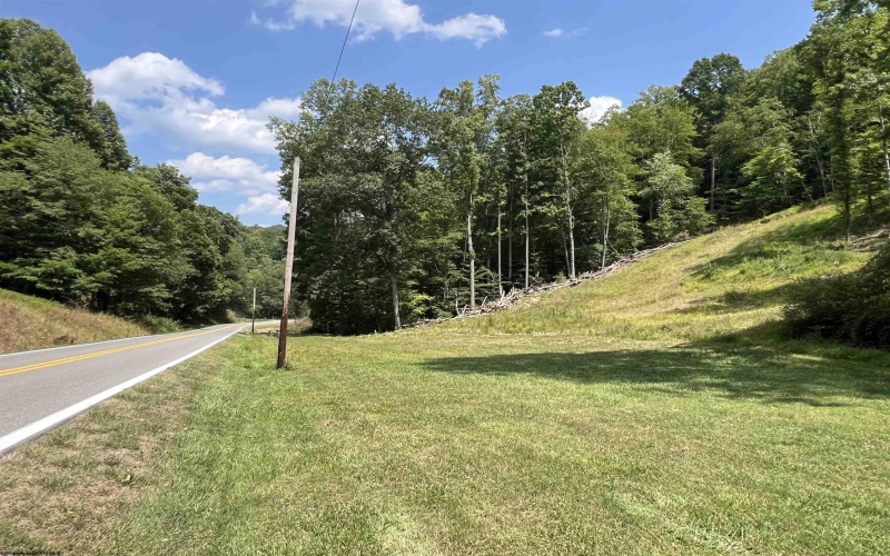 TBD Walker Fork Road, Copen, West Virginia 26615, ,Lots/land,For Sale,Walker Fork,10157912