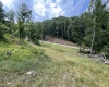 TBD Walker Fork Road, Copen, West Virginia 26615, ,Lots/land,For Sale,Walker Fork,10157912