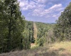 TBD Walker Fork Road, Copen, West Virginia 26615, ,Lots/land,For Sale,Walker Fork,10157912