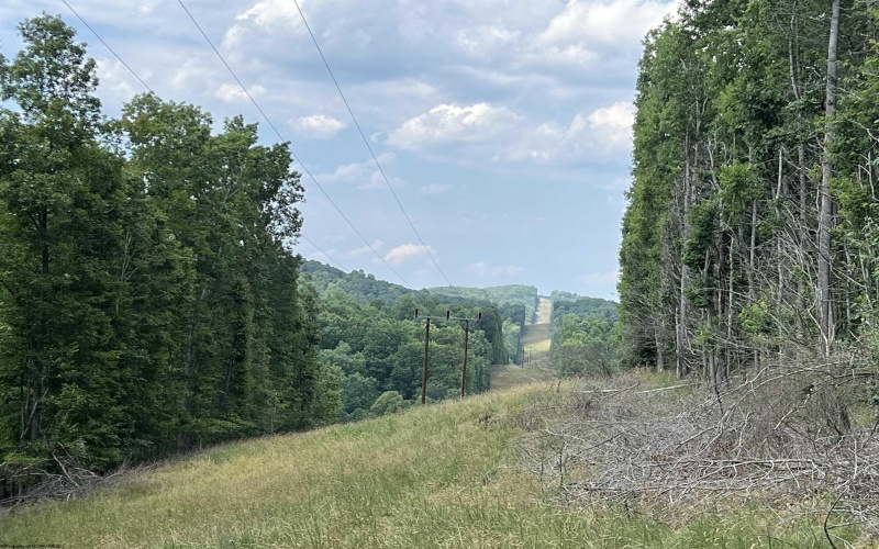 TBD Walker Fork Road, Copen, West Virginia 26615, ,Lots/land,For Sale,Walker Fork,10157912