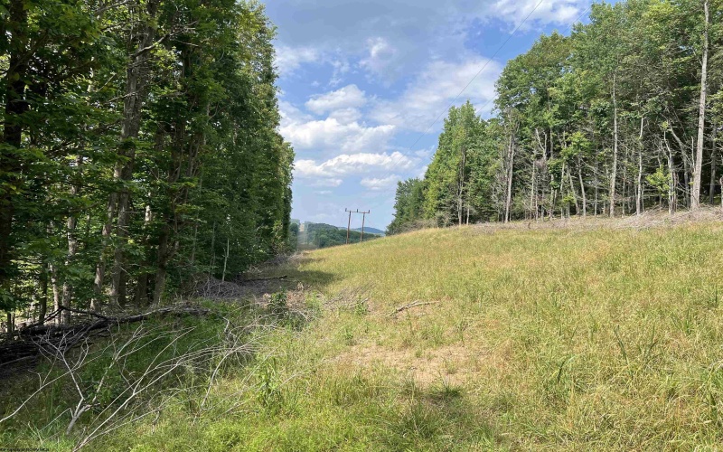 TBD Walker Fork Road, Copen, West Virginia 26615, ,Lots/land,For Sale,Walker Fork,10157912